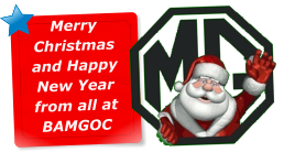 Merry Christmas and Happy New Year from all at BAMGOC