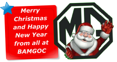 Merry Christmas and Happy New Year from all at BAMGOC