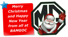 Merry Christmas and Happy New Year from all at BAMGOC